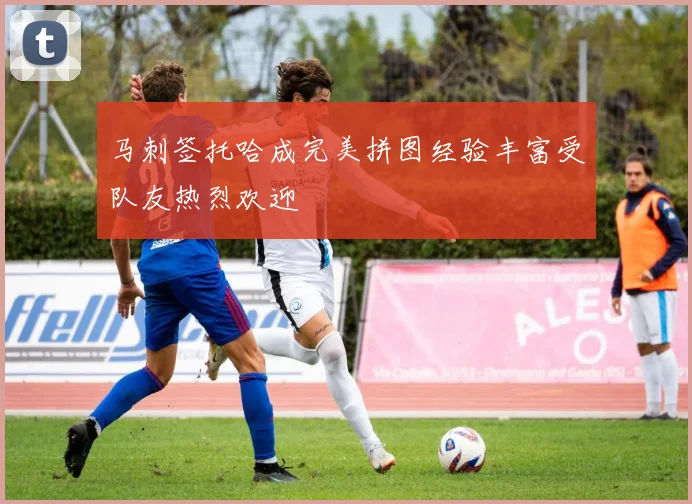 马刺签托哈成完美拼图经验丰富受队友热烈欢迎