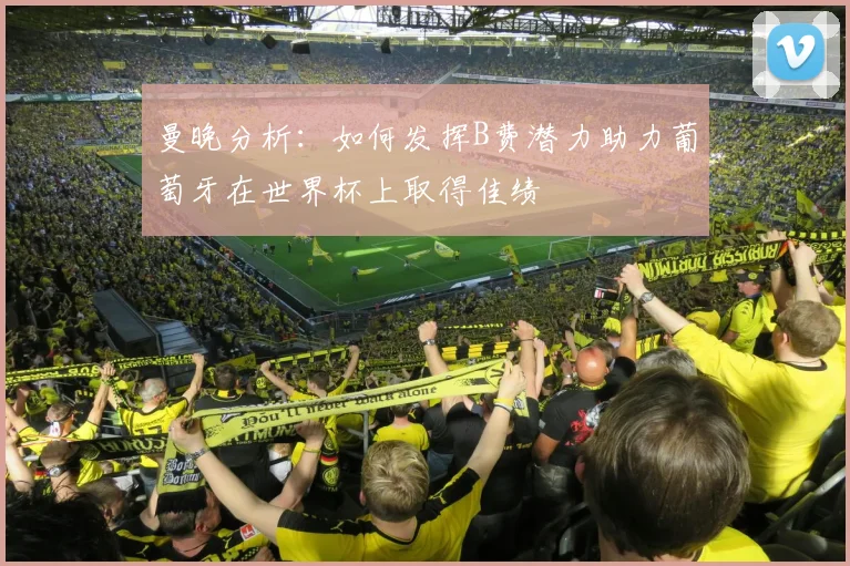 曼晚分析：如何发挥B费潜力助力葡萄牙在世界杯上取得佳绩